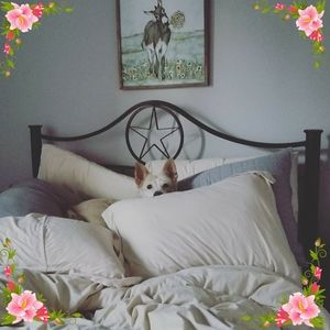 Meet your Posher, Julie